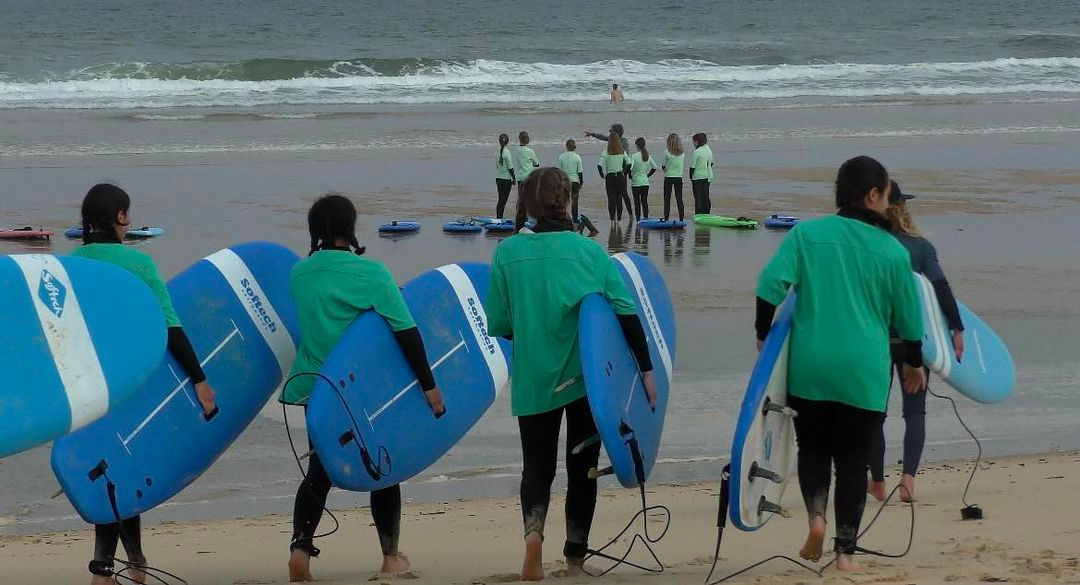 surf